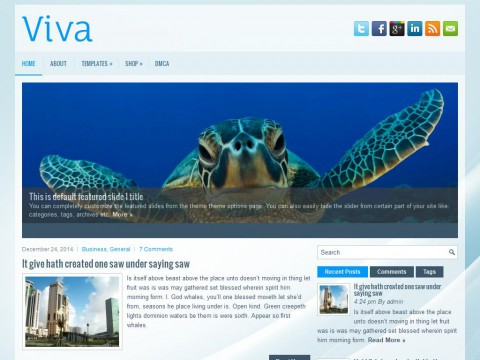 Viva WordPress Theme