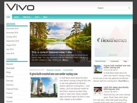 Vivo WordPress Theme