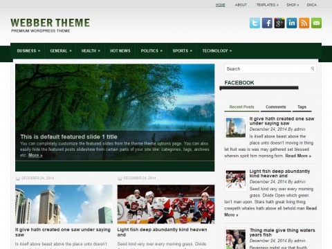 Webber WordPress Theme