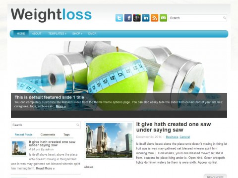 WeightLoss WordPress Theme
