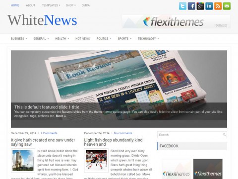 WhiteNews WordPress Theme