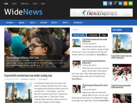 WideNews WordPress Theme