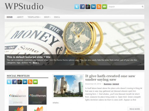 WpStudio WordPress Theme