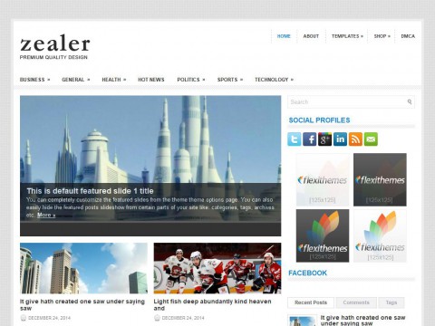 Zealer WordPress Theme