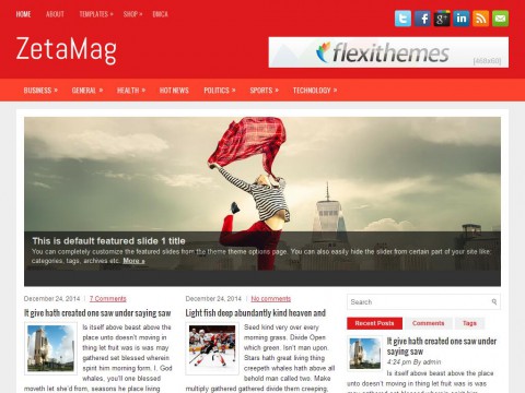 ZetaMag WordPress Theme