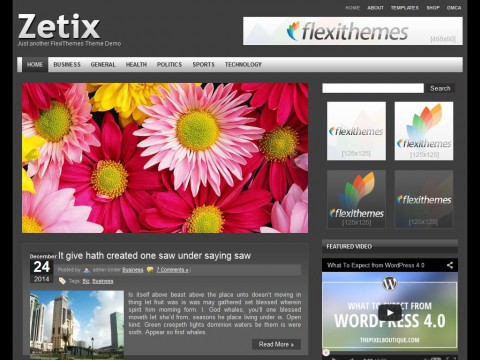 Zetix WordPress Theme