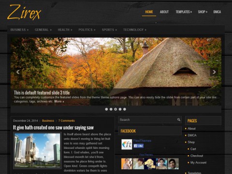 Zirex WordPress Theme