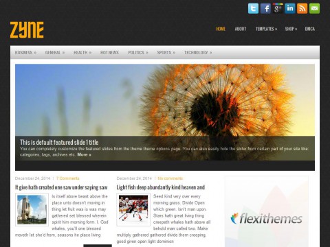 Zyne WordPress Theme