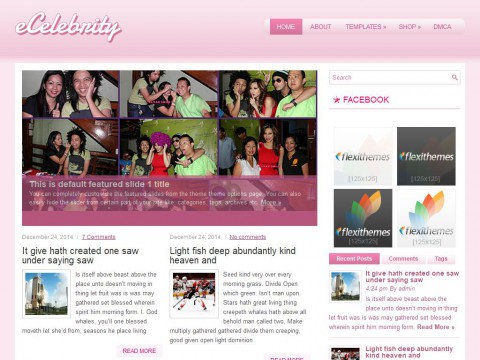 eCelebrity WordPress Theme
