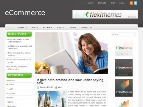 eCommerce WordPress Theme