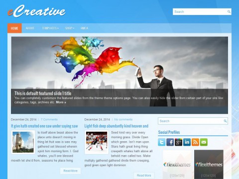 eCreative WordPress Theme