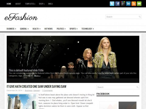 eFashion WordPress Theme