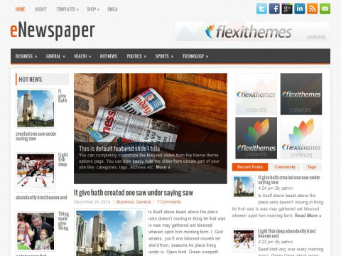 eNewspaper WordPress Theme