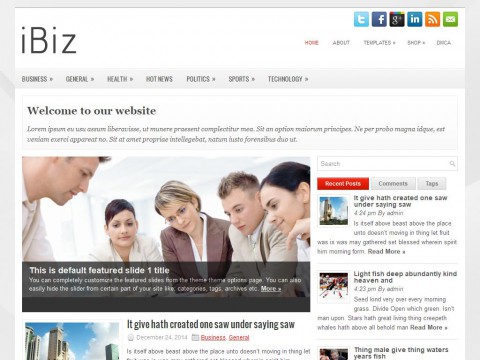 iBiz WordPress Theme