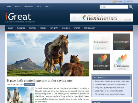 iGreat Blue WordPress Theme