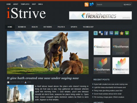 iStrive WordPress Theme