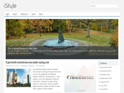 iStyle WordPress Theme