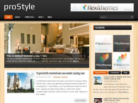 proStyle WordPress Theme