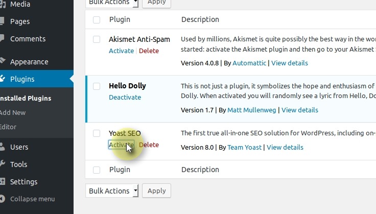 Activating the plugin