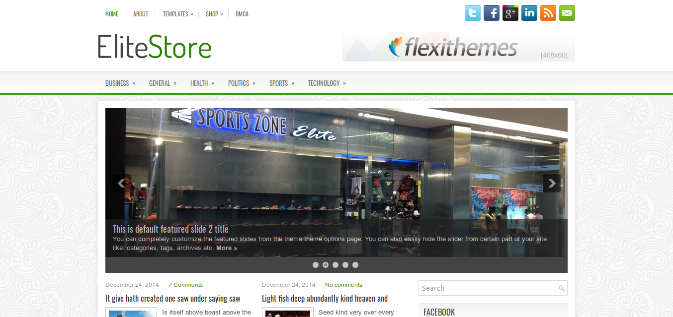 EliteStore WordPress Theme