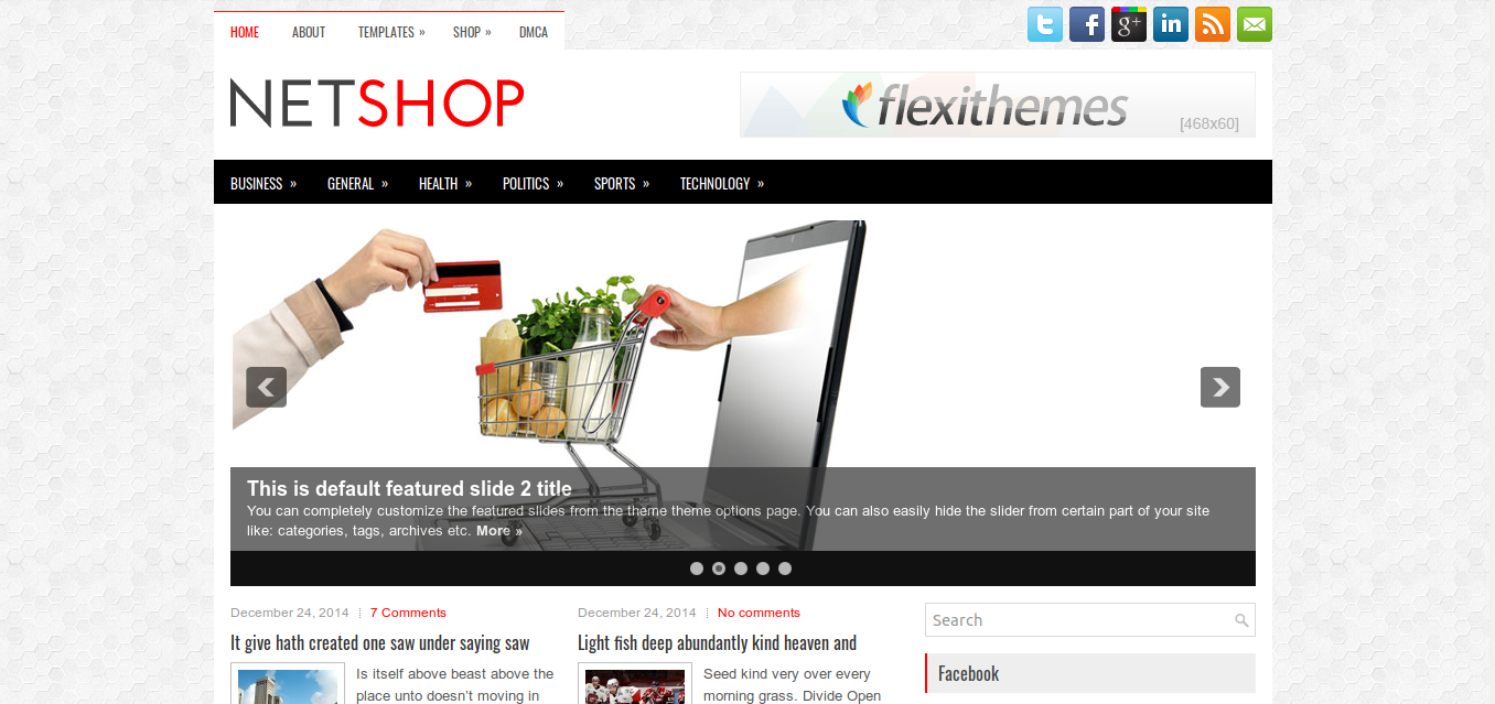 NetShop WordPress theme