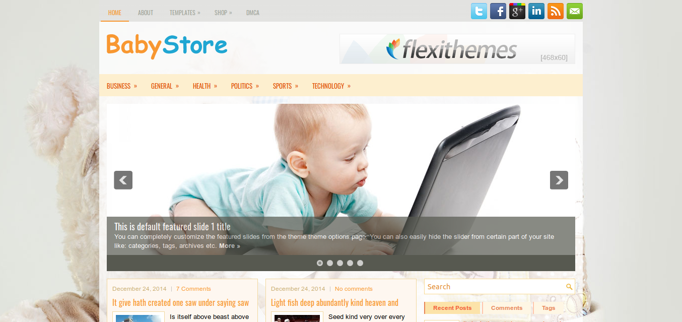 BabyStore WordPress theme