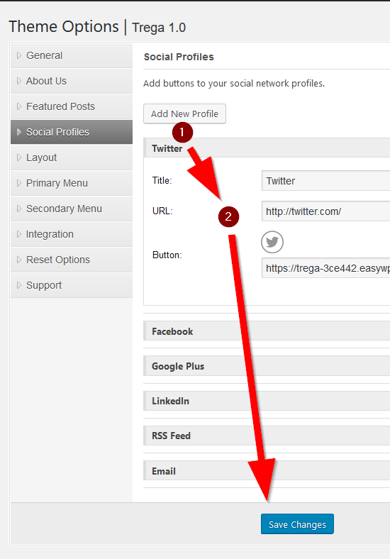 Settings for the Social Media Profile icons