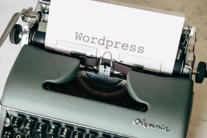 Mastering WordPress: A Guide to Troubleshooting Common Errors